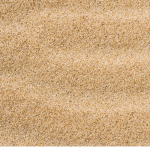 The Official Sand Cult