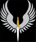REAT Special Operations