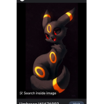 umbreeon is cool