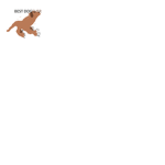 dum dogs
