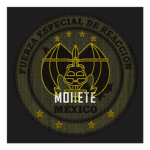 1/a Sección