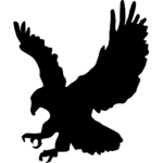 Terror Blackhawks