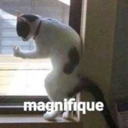 JUEGOS DE ESCONDIDAS