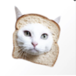 Kitty bread