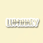 LUM1NARY INC