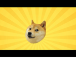 Doge Fan hang out