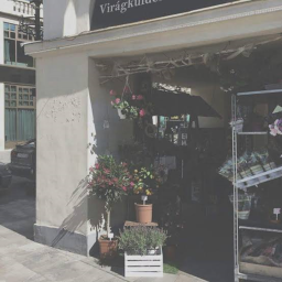 旧货店 homestore v1