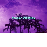 Pengu’s clothing