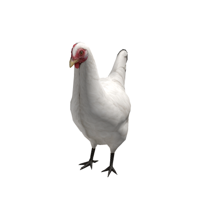 Chicken Suit thumbnail