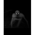 Fuzzbusterhjk