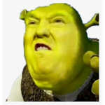 Group of memes :)
