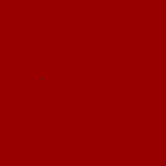 bayincorporated