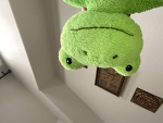 THE FROGGEST FRO