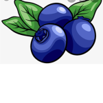 Ello Blueberries