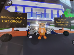 Brookhaven cats extra