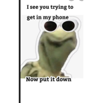 FROGGY GROUO