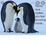 Flappy The Happy Penguin