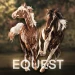 LCS: EQuest icon