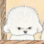 Cvultyt