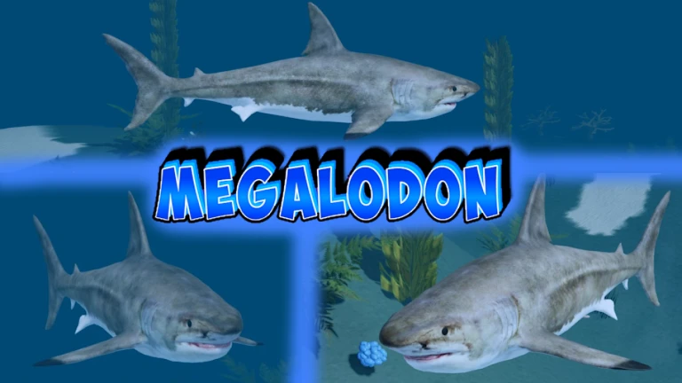 SWORDFISH! ] Be a fish! - Roblox