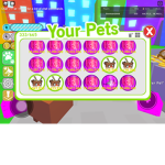 Joe playz