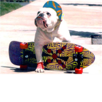 Skater's Skate Hangout