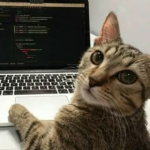 Diamondclad Games