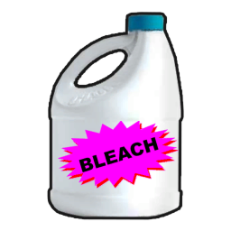 Bleach For The Boys