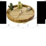 The Zen cactus grows.
