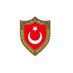 Brainrot (Türk Topluluğu)
