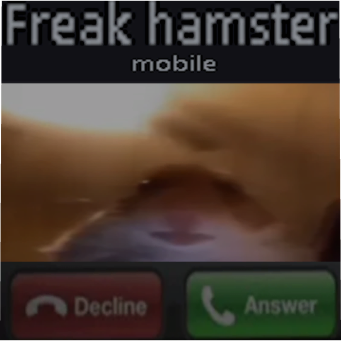 Hamster Calling Meme Box
