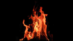 Fire Nation Line
