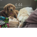 Help for addie