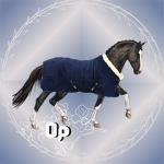 ORCHID POINT EQUESTRIAN CENTER