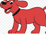 Clifford fan group