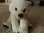 Patrick the polar bear