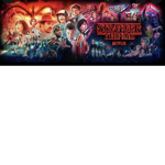 STRANGER THINGS Obsession