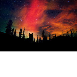 Twilight'clan camp.