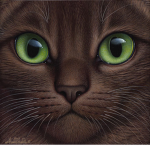 [WC] Warrior Cats