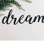 Dream Big Co.