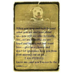 pit bull lovers (we all need to love them)