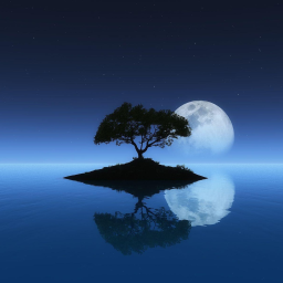 Blueprint Bliss