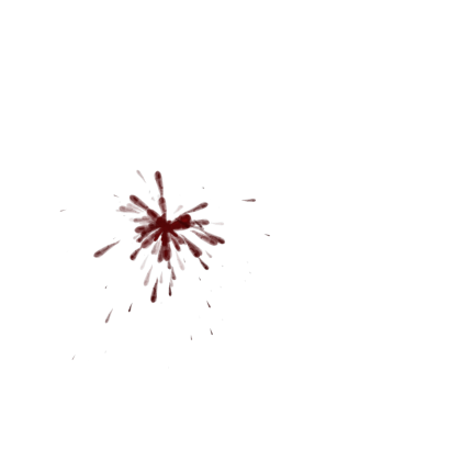 Combat System
