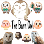 The Barn Owls