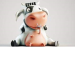 Cow Cult x