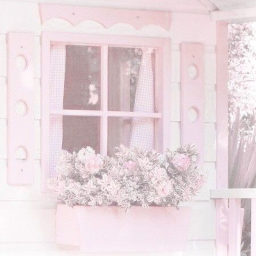 ⸝⸝ ୭