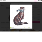 TeamOtterForLife