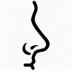 Snif Inc.