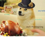 doge chicken nuggets