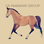 Marwari group